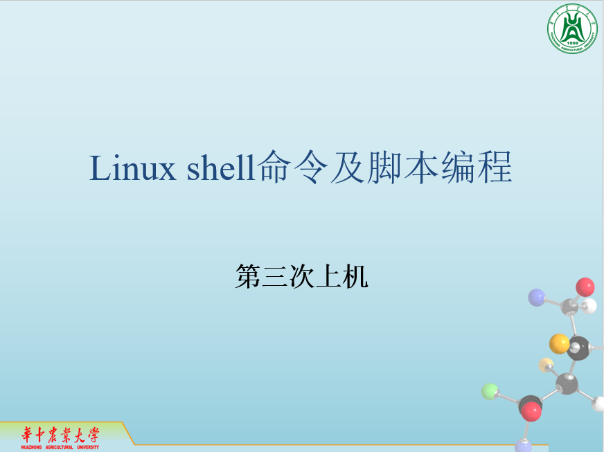 第三次上机